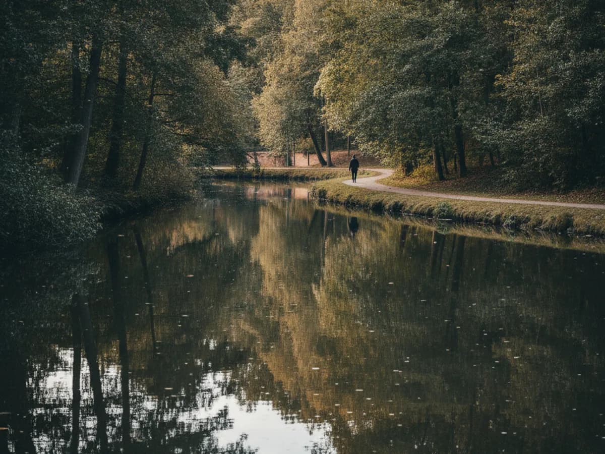 Stiller Mühlenteich mit Ufergehölz in Hamburg-Tonndorf