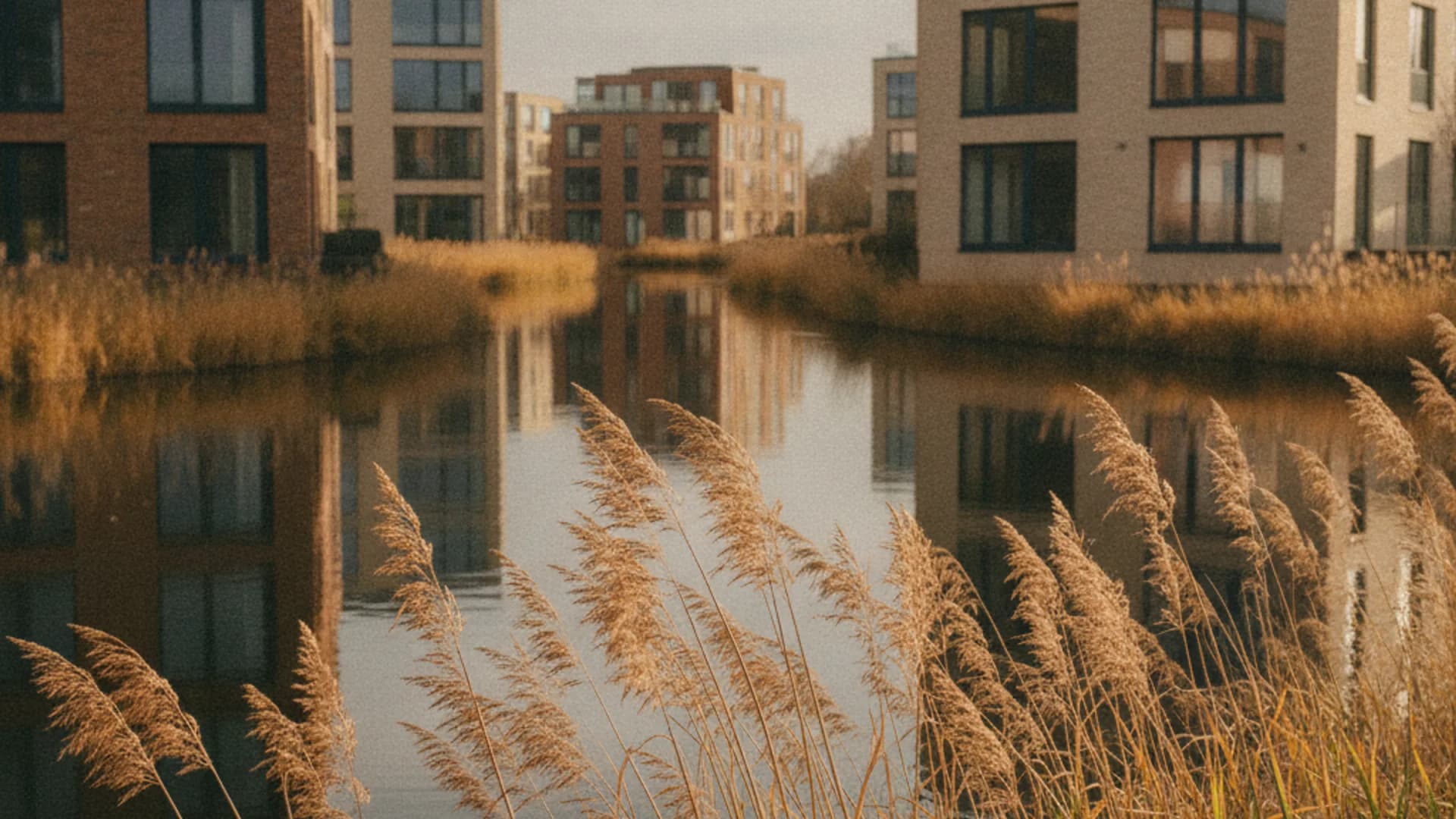 Wasserflächen und Schilf im Quartier an der Jenfelder Au in Hamburg-Jenfeld
